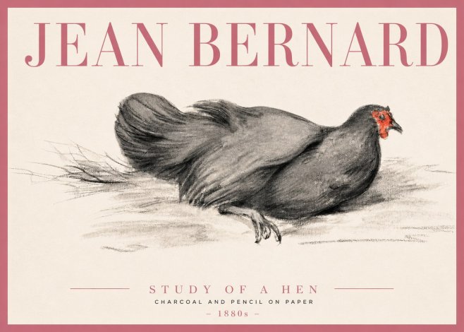 Jean Bernard Study of a Hen No3 - Poszter
