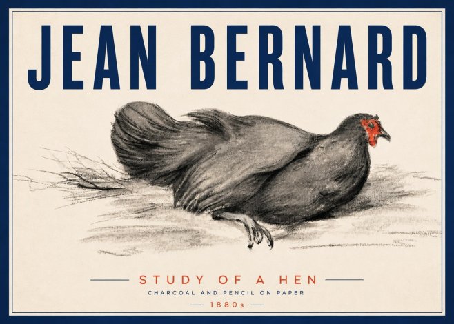 Jean Bernard Study of a Hen No5 - Poszter