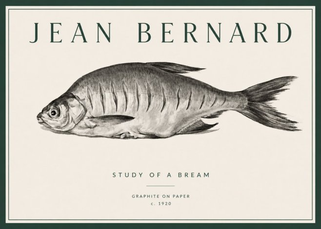 Jean Bernard Study of a Bream No3 - Poszter