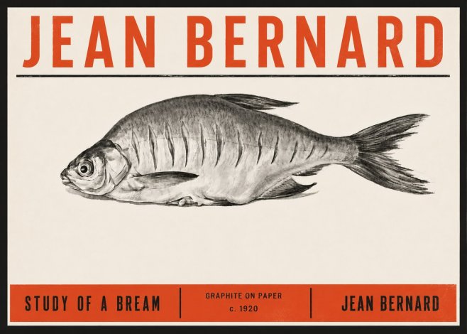 Jean Bernard Study of a Bream No6 - Poszter