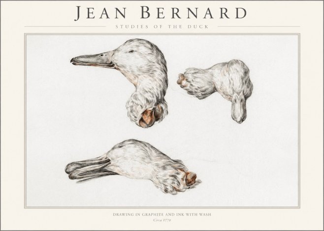 Jean Bernard Studies of the Duck No1 - Poszter