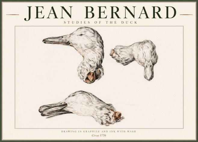 Jean Bernard Studies of the Duck No4 - Poszter