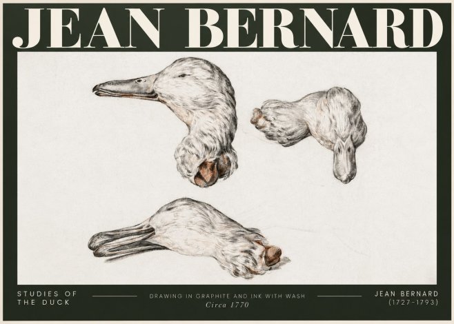 Jean Bernard Studies of the Duck No5 - Poszter