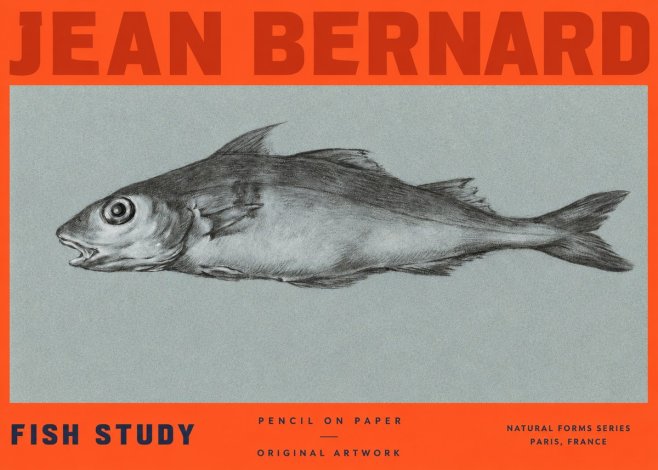 Jean Bernard Fish Study I No2 - Poszter
