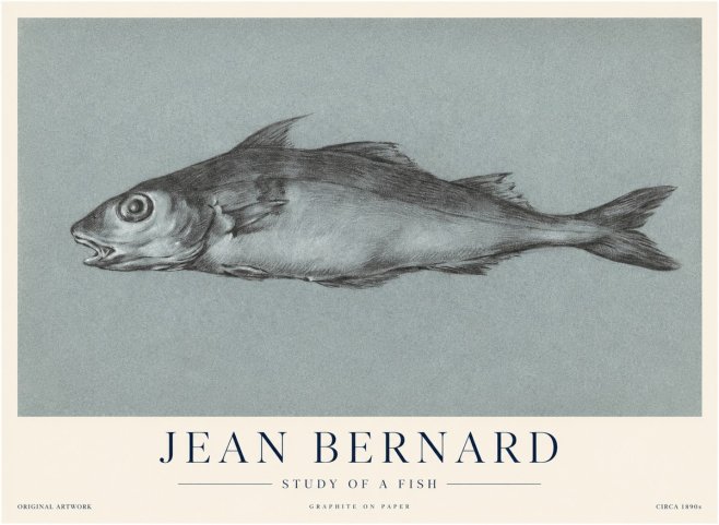 Jean Bernard Fish Study I No4 - Poszter