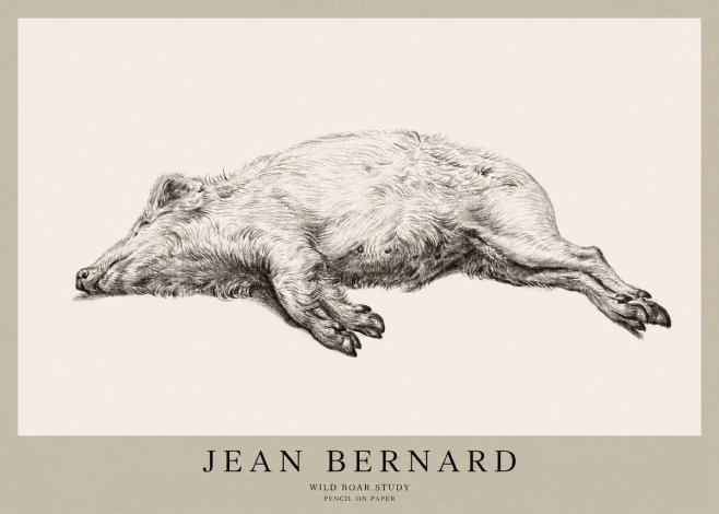 Jean Bernard Wild Boar Study No1 - Poszter