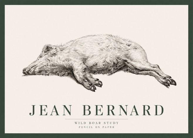 Jean Bernard Wild Boar Study No2 - Poszter