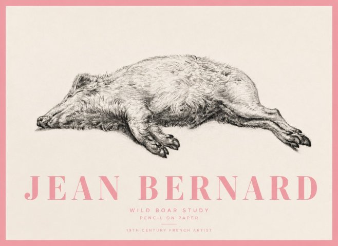 Jean Bernard Wild Boar Study No5 - Poszter