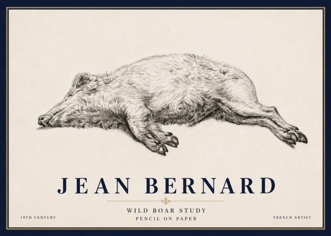 Jean Bernard Wild Boar Study No6 - Poszter