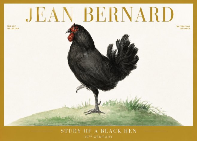 Jean Bernard Study of a Black Hen No6 - Poszter