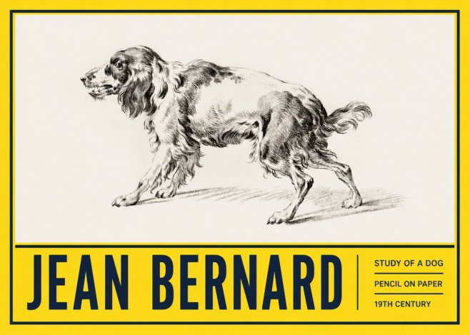 Jean Bernard Study of a Dog V No5 - Poszter