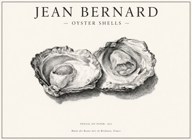 Jean Bernard Study of Oyster Shells No6 - Poszter
