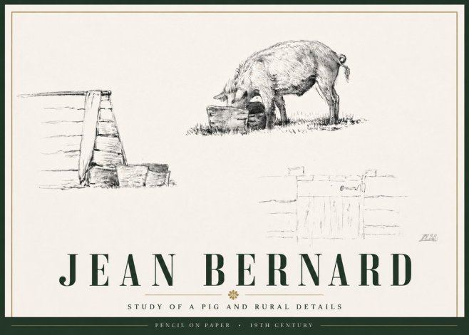 Jean Bernard Pig Study No6 - Poszter