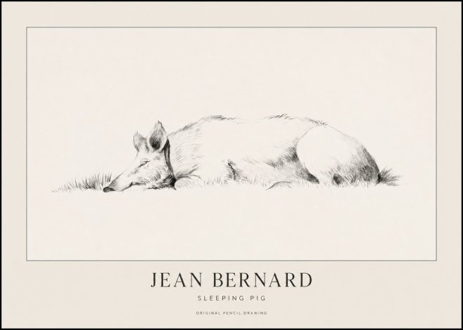 Jean Bernard Sleeping Pig II No1 - Poszter