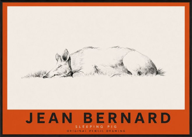 Jean Bernard Sleeping Pig II No3 - Poszter