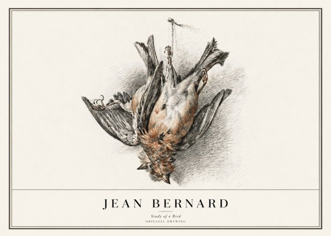 Jean Bernard Study of a Bird IV No1 - Poszter