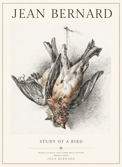 Jean Bernard Study of a Bird IV No3 - Poszter