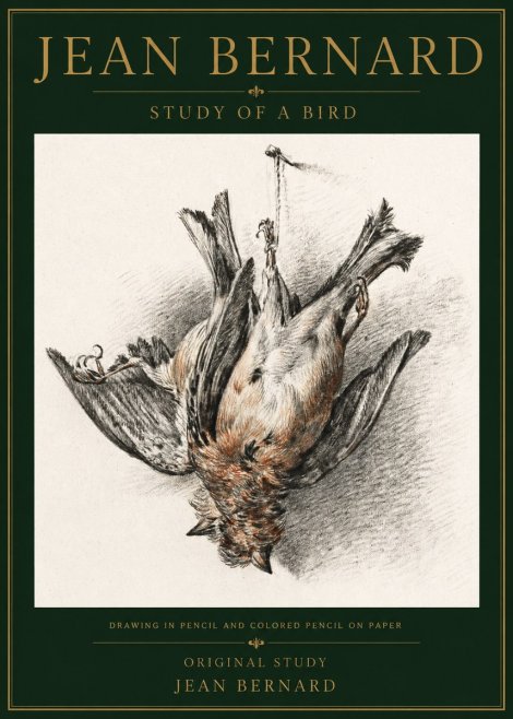 Jean Bernard Study of a Bird IV No5 - Poszter