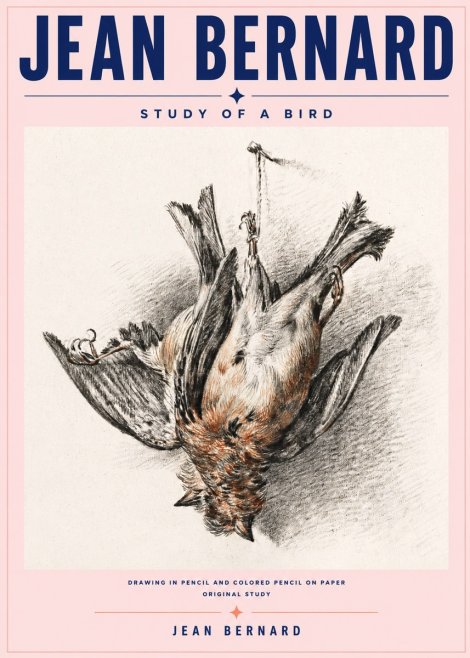 Jean Bernard Study of a Bird IV No6 - Poszter