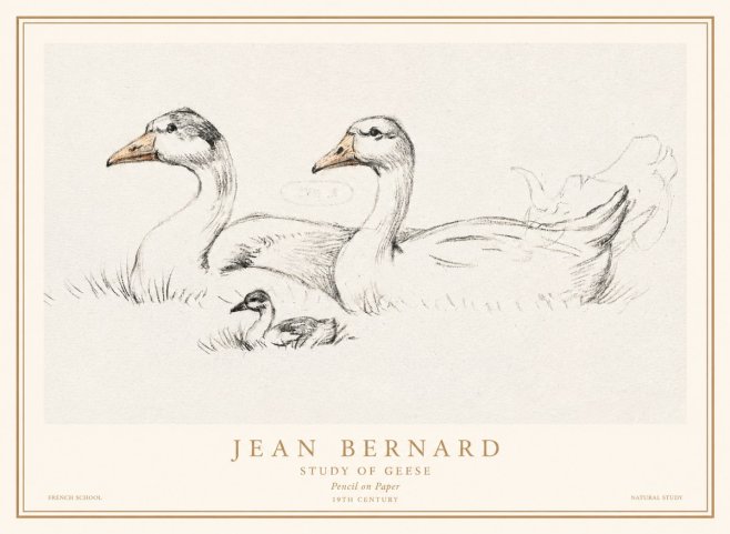 Jean Bernard Study of Geese No1 - Poszter