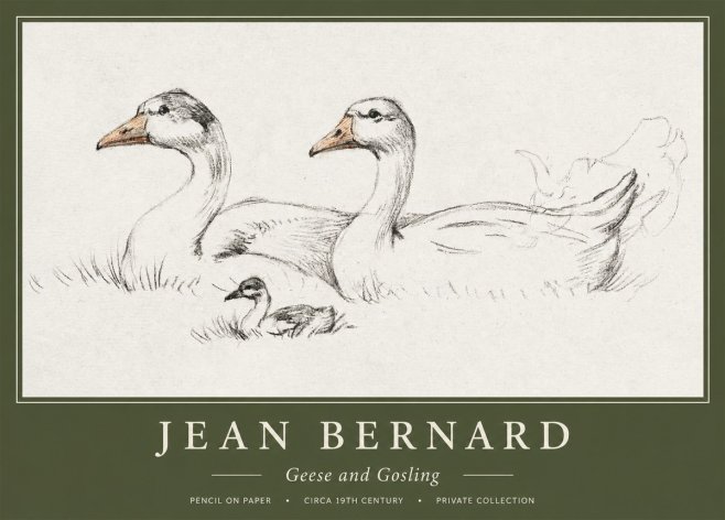 Jean Bernard Study of Geese No2 - Poszter