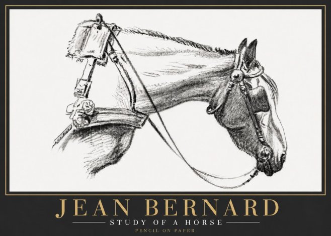 Jean Bernard Study of a Horse XVIII No6 - Poszter