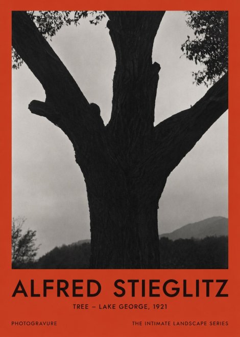 Alfred Stieglitz Tree - Lake George, 1921 No2 - Poszter