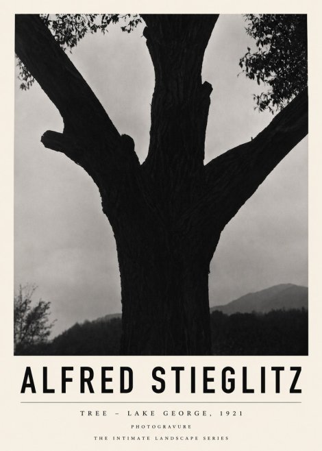 Alfred Stieglitz Tree - Lake George, 1921 No3 - Poszter
