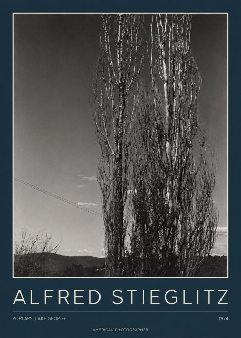 Alfred Stieglitz Trees - Lake George, 1921 No4 - Poszter