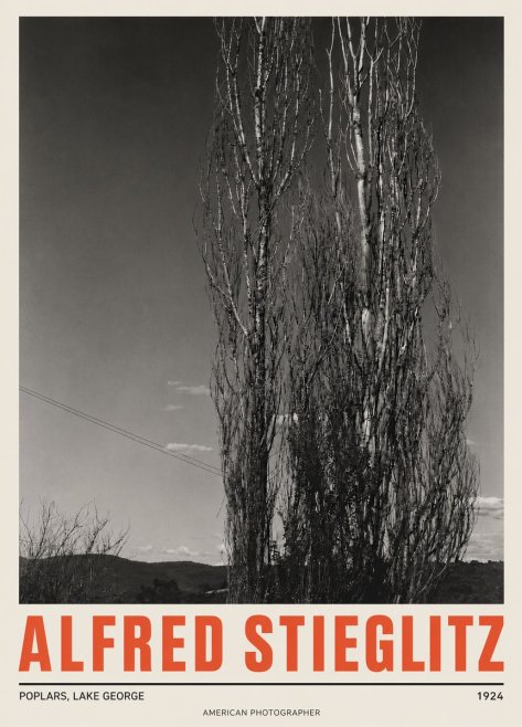 Alfred Stieglitz Trees - Lake George, 1921 No5 - Poszter