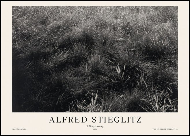 Alfred Stieglitz A Dewy Morning No1 - Poszter