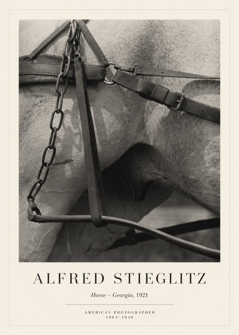 Alfred Stieglitz The Steerage I No6 - Poszter