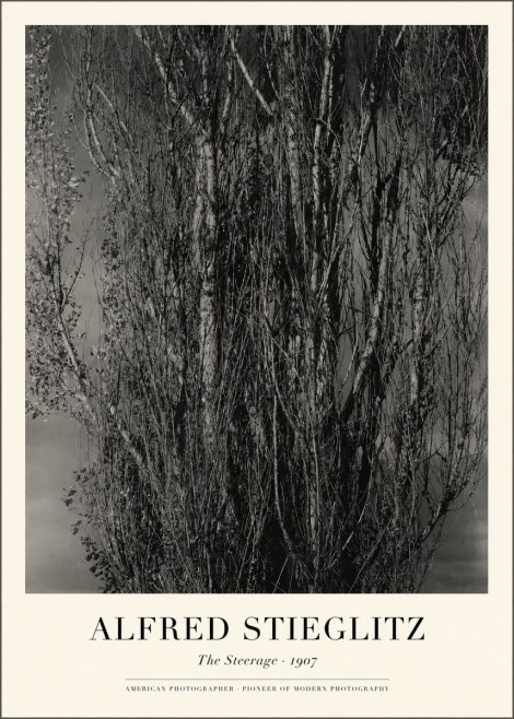 Alfred Stieglitz The Steerage II No1 - Poszter