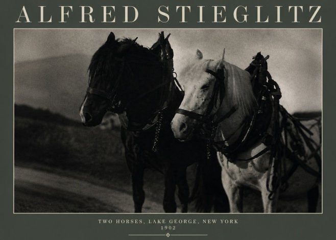 Alfred Stieglitz Two Horses, Lake George, New York No3 - Poszter