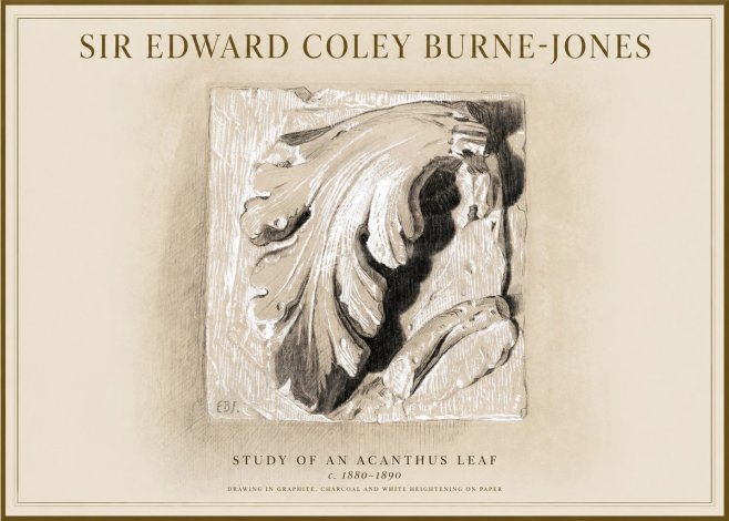 Edward Burne-Jones Study of an Acanthus Leaf No1 - Poszter