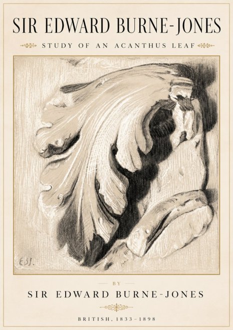 Edward Burne-Jones Study of an Acanthus Leaf No2 - Poszter
