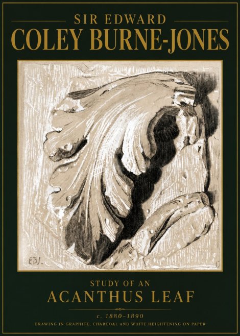 Edward Burne-Jones Study of an Acanthus Leaf No5 - Poszter