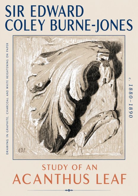 Edward Burne-Jones Study of an Acanthus Leaf No6 - Poszter
