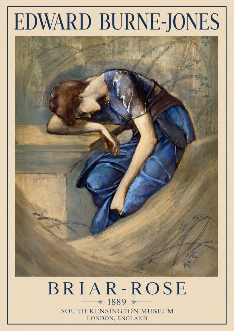 Edward Burne-Jones Briar-rose No1 - Poszter