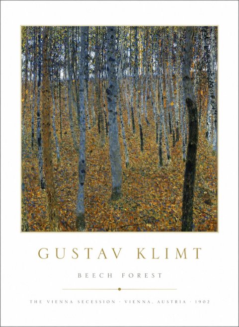 Klimt Beech Forest No1 - Poszter