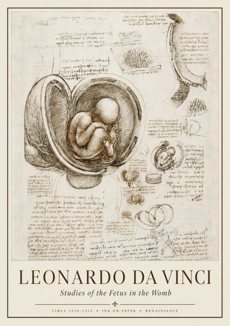 Leonardo da Vinci Studies of the Fetus in the Womb No1 - Poszter
