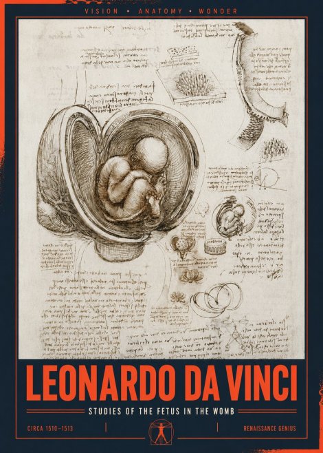 Leonardo da Vinci Studies of the Fetus in the Womb No2 - Poszter