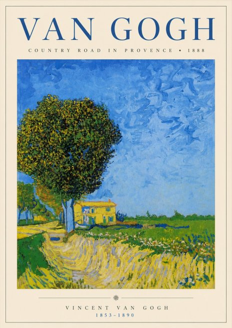 Van Gogh Country Road in Provence II No3 - Poszter