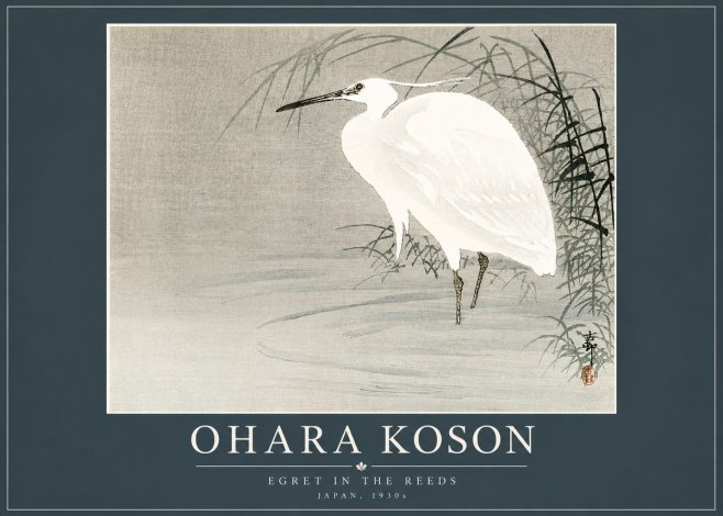 Ohara Koson Egret in the Reeds No4 - Poszter