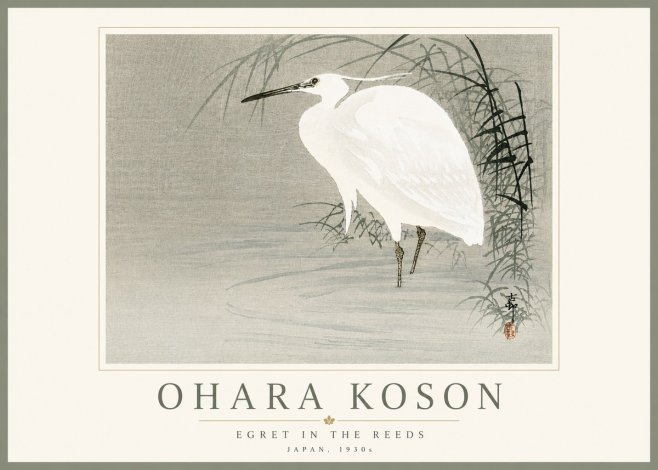Ohara Koson Egret in the Reeds No5 - Poszter