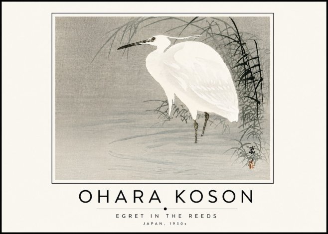 Ohara Koson Egret in the Reeds No6 - Poszter