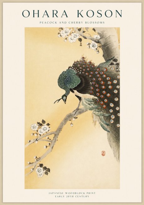 Ohara Koson Peacock and Cherry Blossoms No1 - Poszter
