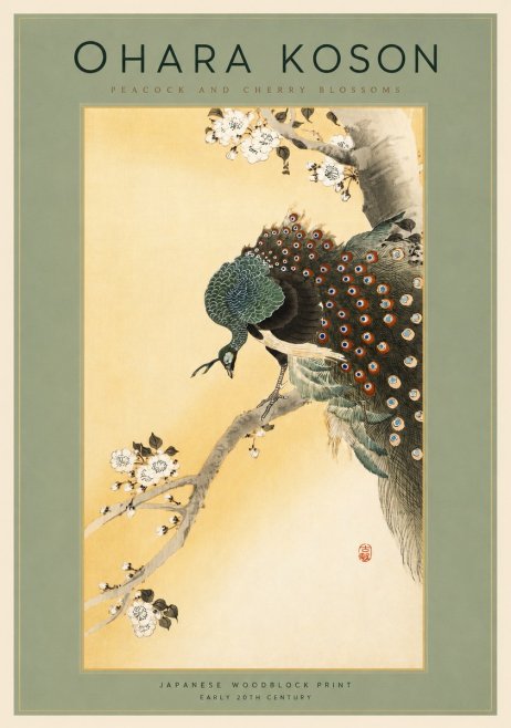 Ohara Koson Peacock and Cherry Blossoms No2 - Poszter