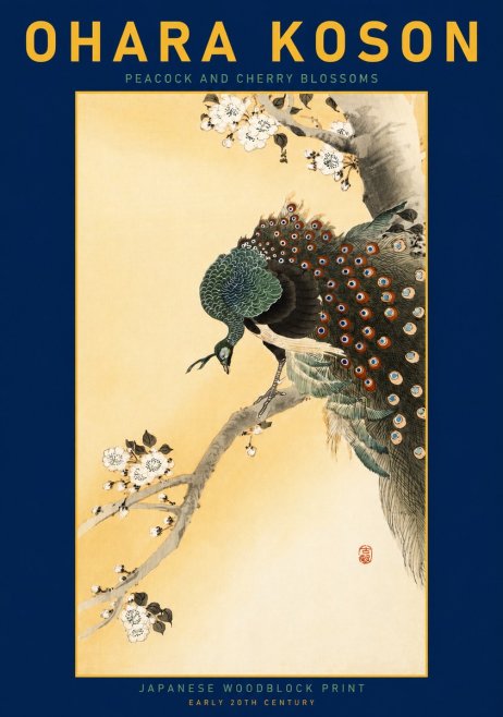 Ohara Koson Peacock and Cherry Blossoms No3 - Poszter