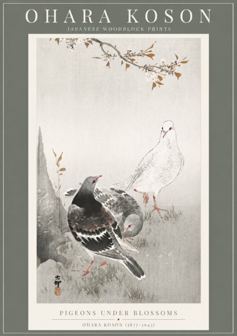 Ohara Koson Pigeons Under Blossoms No2 - Poszter